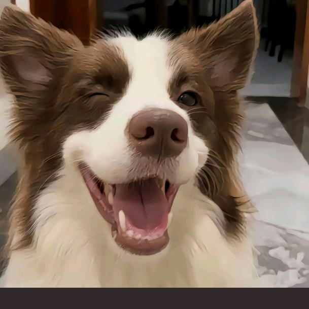 𝓐𝓾𝓻𝓸𝓻𝓪