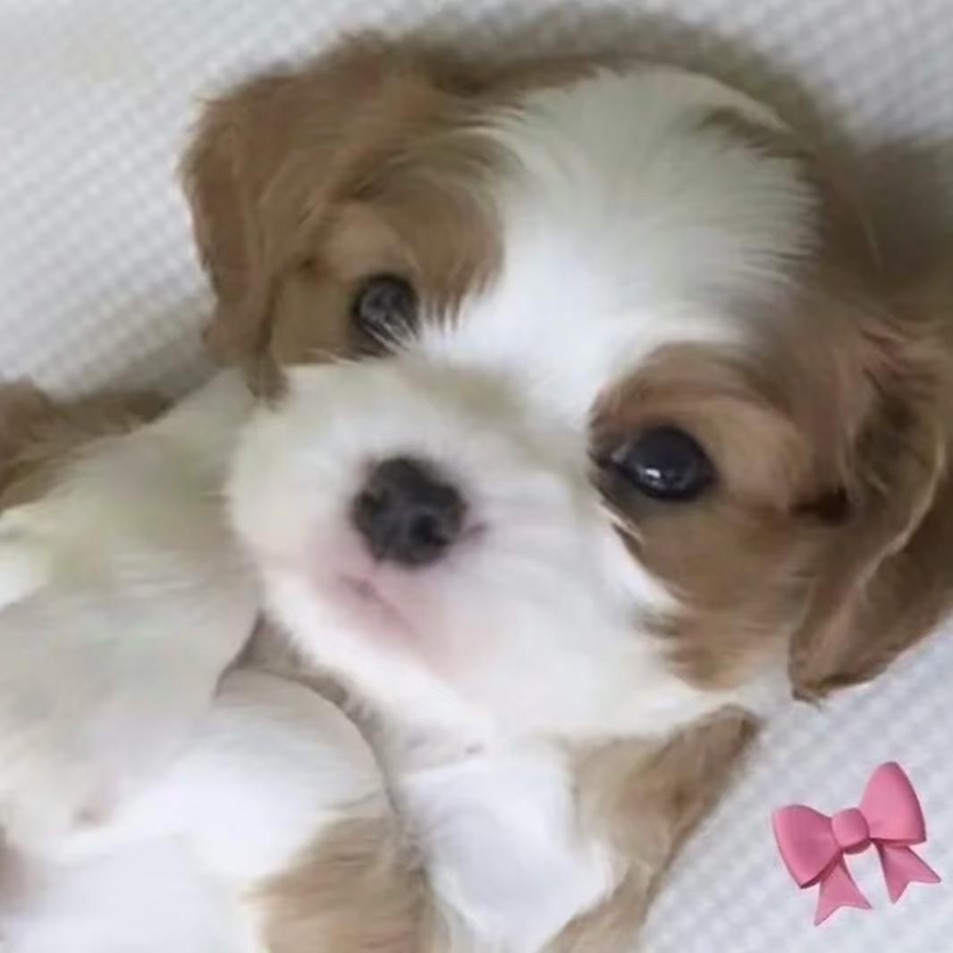 超雄抑郁症凌晨三点屎没憋住被护工暴打