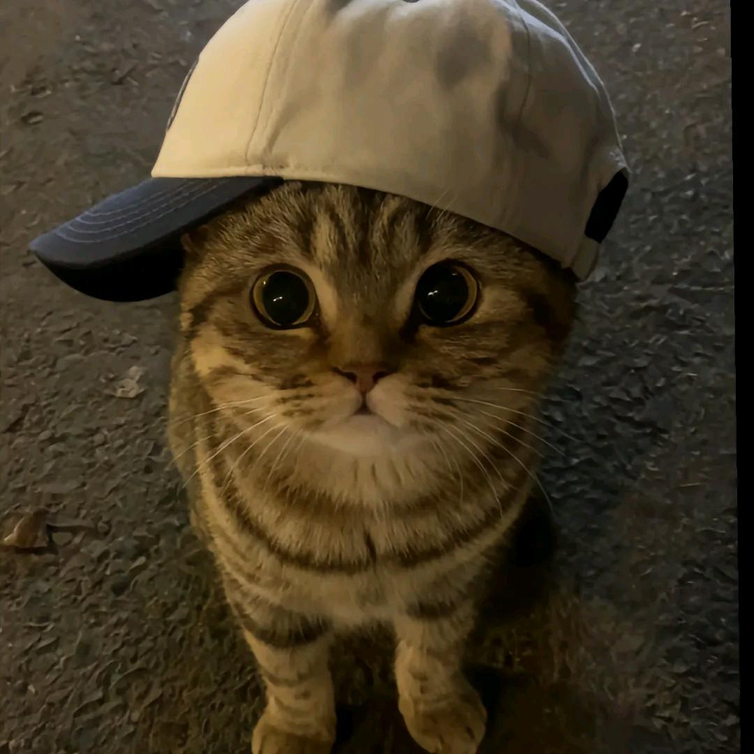 烛澍ovo