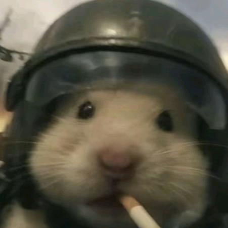 南北
