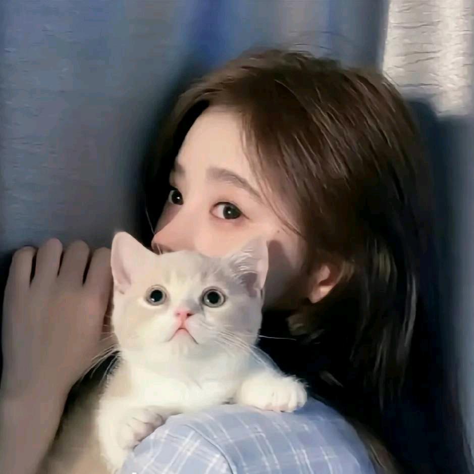 小助