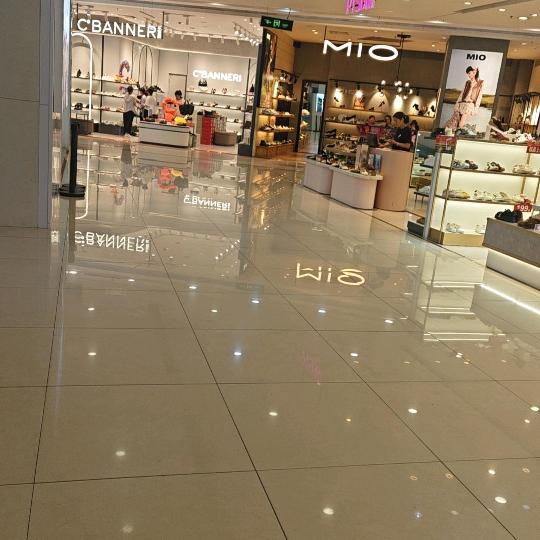 带着🐶去听音乐会