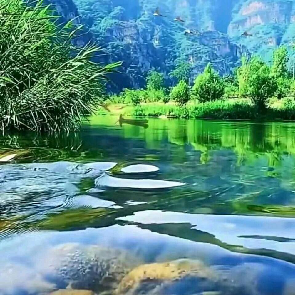 幸福星