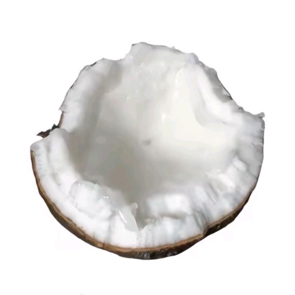 TmyT