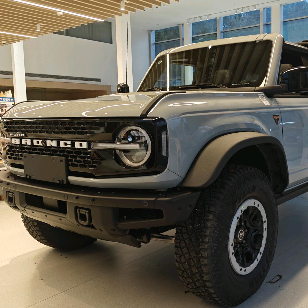 南宁宝福-智趣烈马