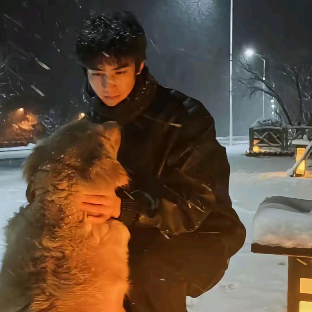 小🐷会煲汤🐽