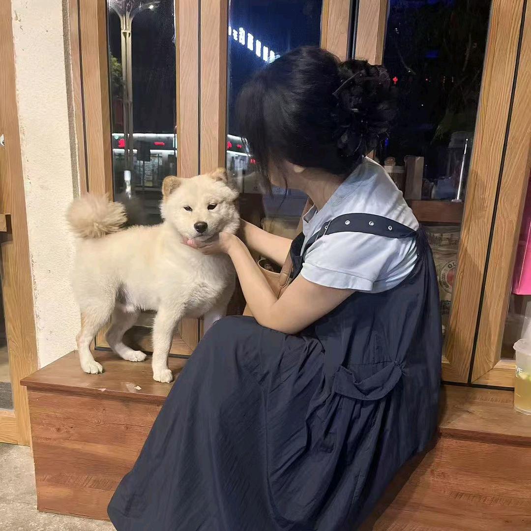 ღ᭄懓惗