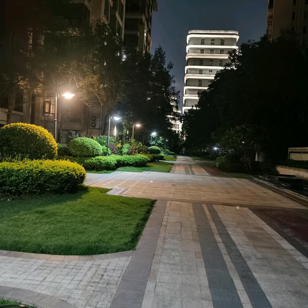 蓝色彼岸