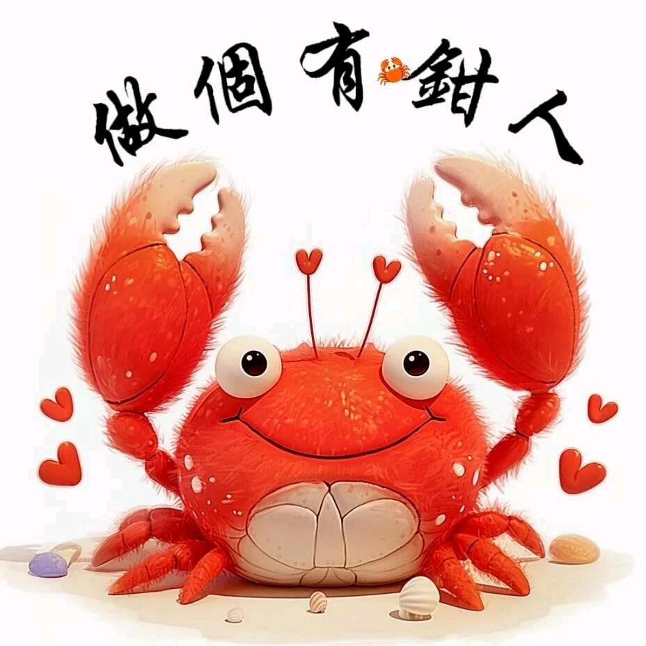 宠