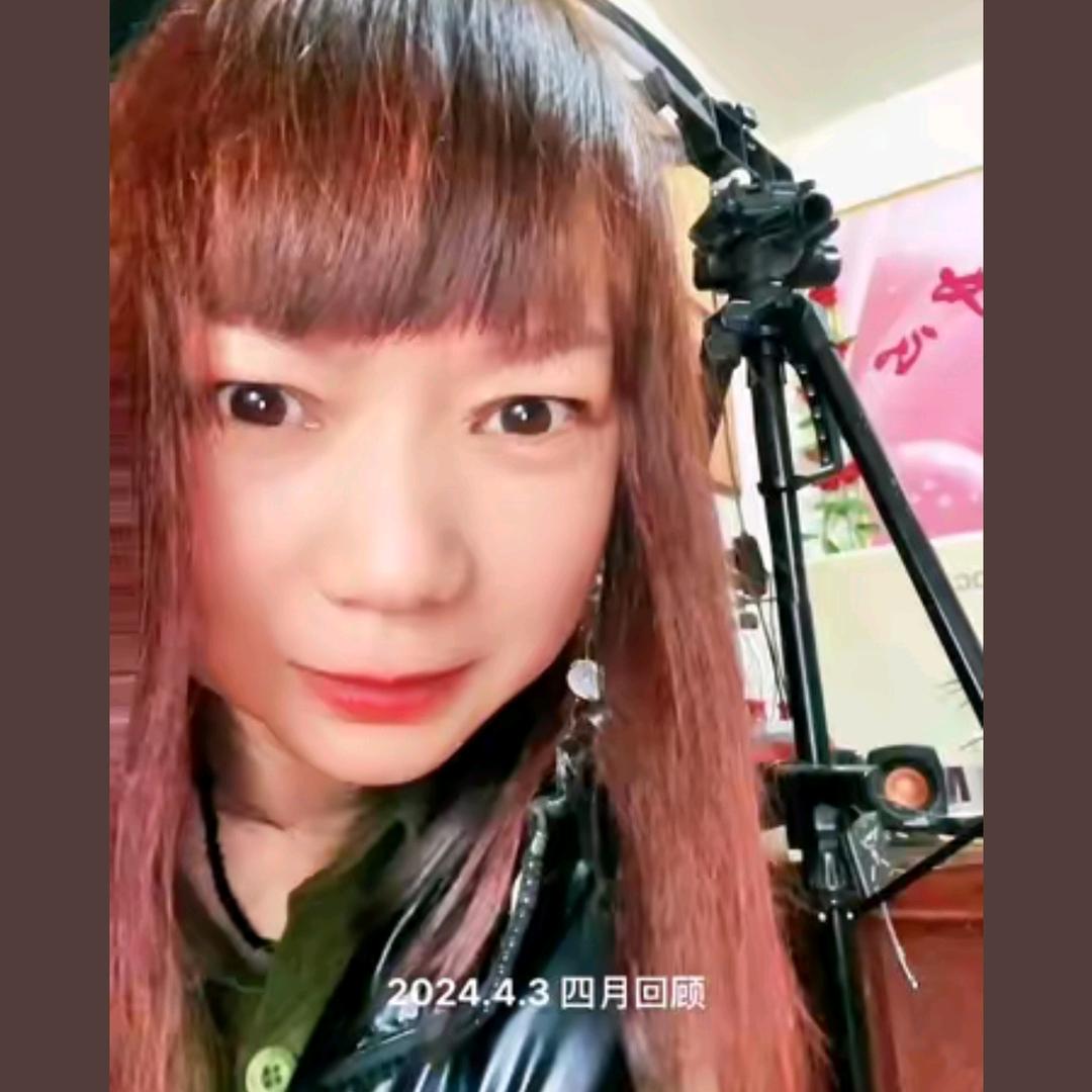 南阳梧桐树🎤