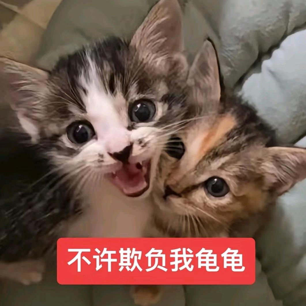 让我吃口饭