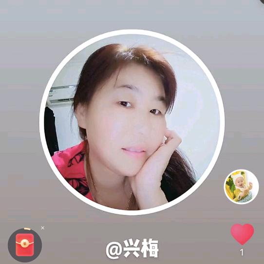兴梅
