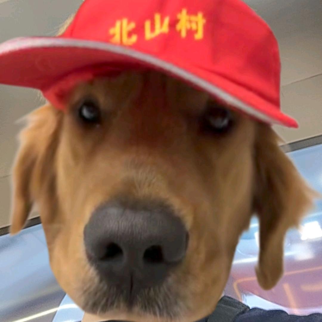 乐乐乐乐乐乐乐