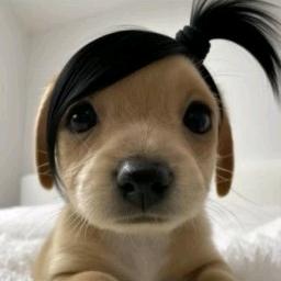 小小怪摘下液态合金头盔以后像个呆b