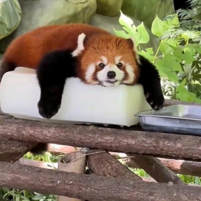 我的车子震起来春天来了该到了男女