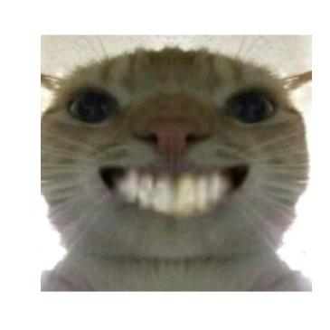 小龙虾