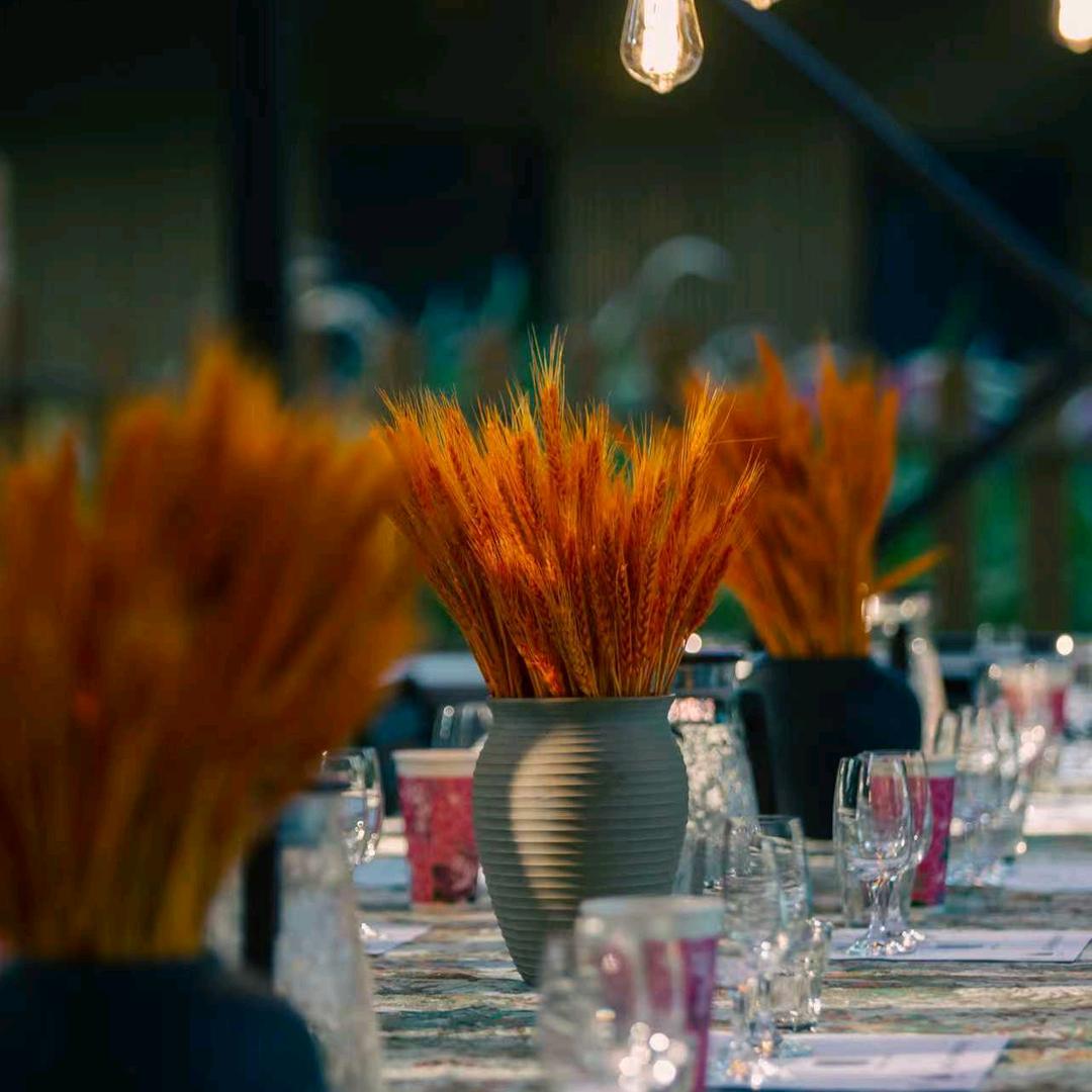 木樨林间直播号