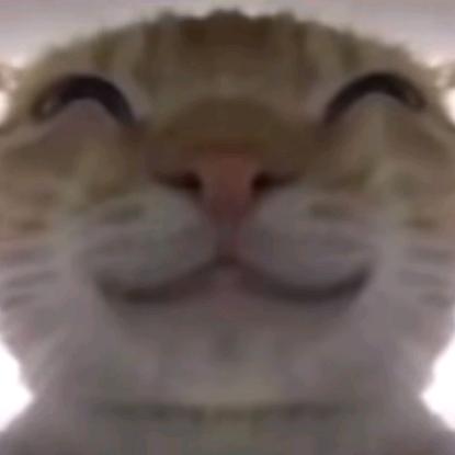 wuyou