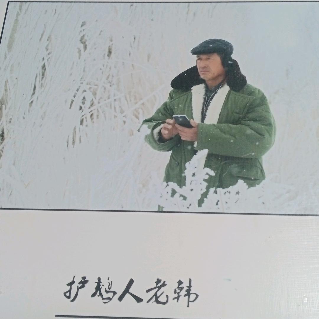 天鹅泉守护者。  老韩