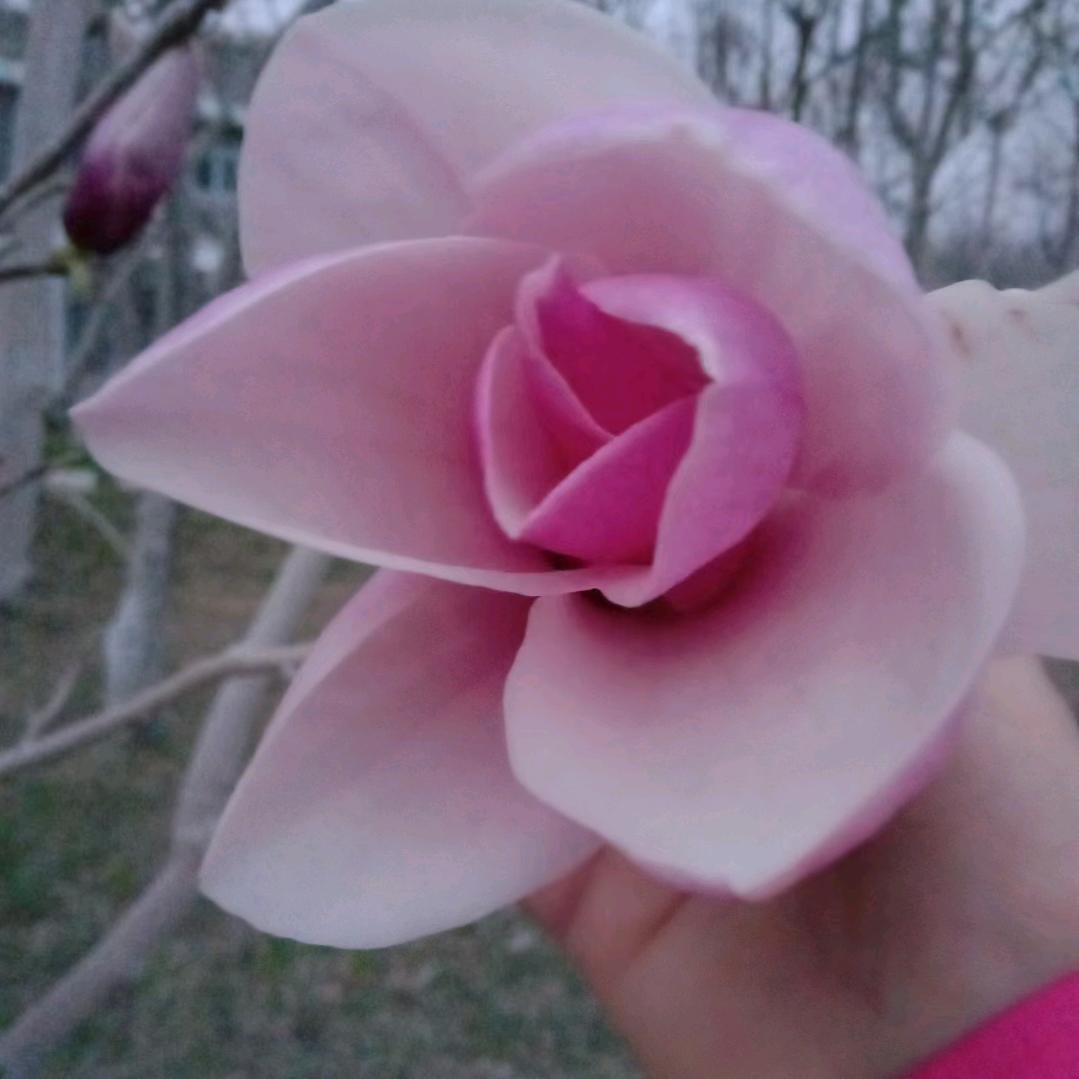 白云飘飘☁☁☁💦