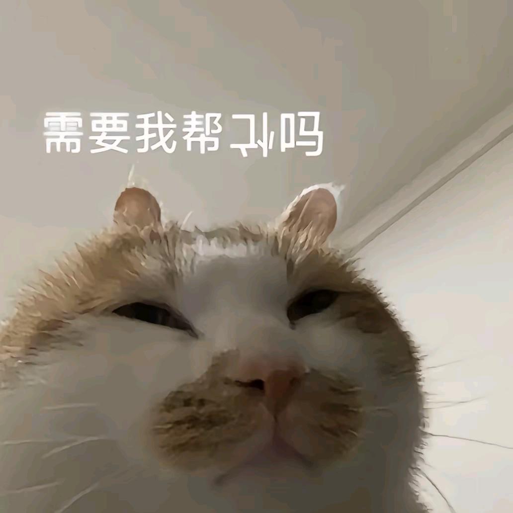 all梦（喜欢小🐱版）