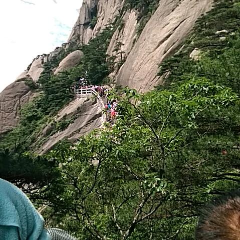 老狼