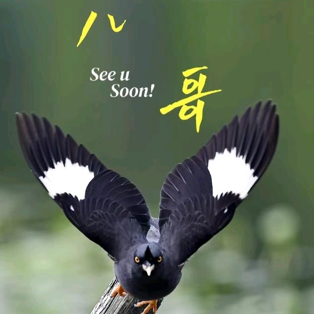 9⃣️8⃣️哥