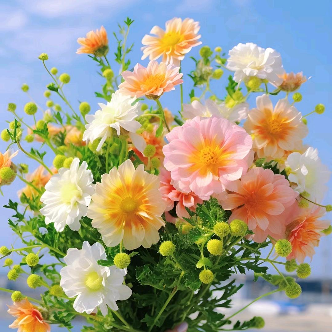 微挖客服-山东金盈机械