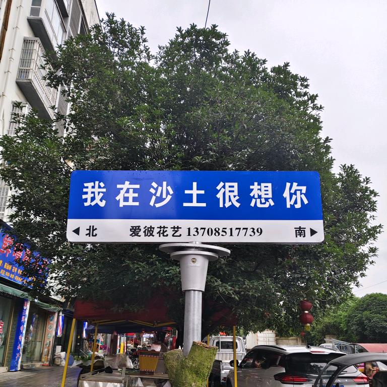 李小琴