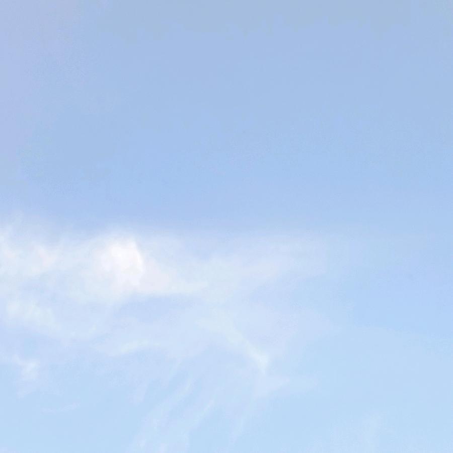 ༄℘🥀删除記憶ཀ໊ృ༊