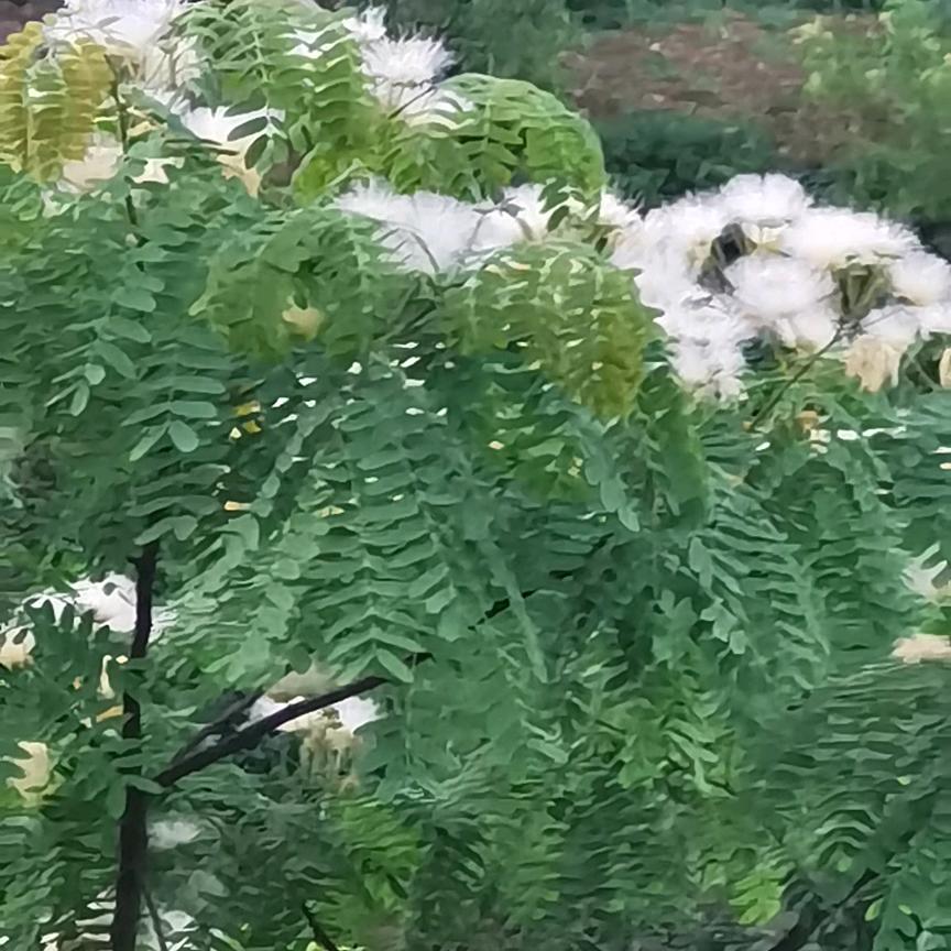 如一(^.^)