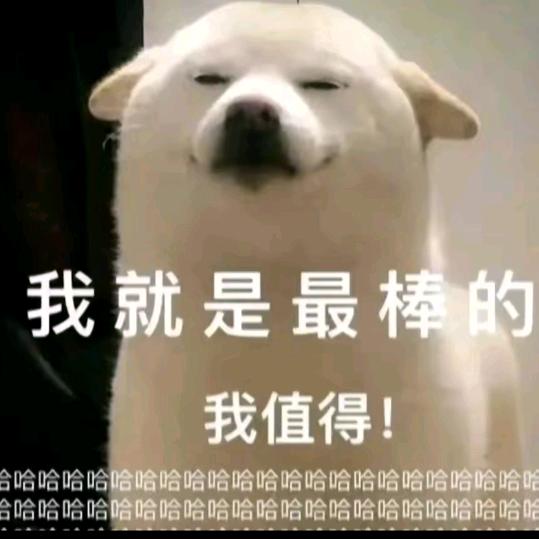 与春风皆过客.