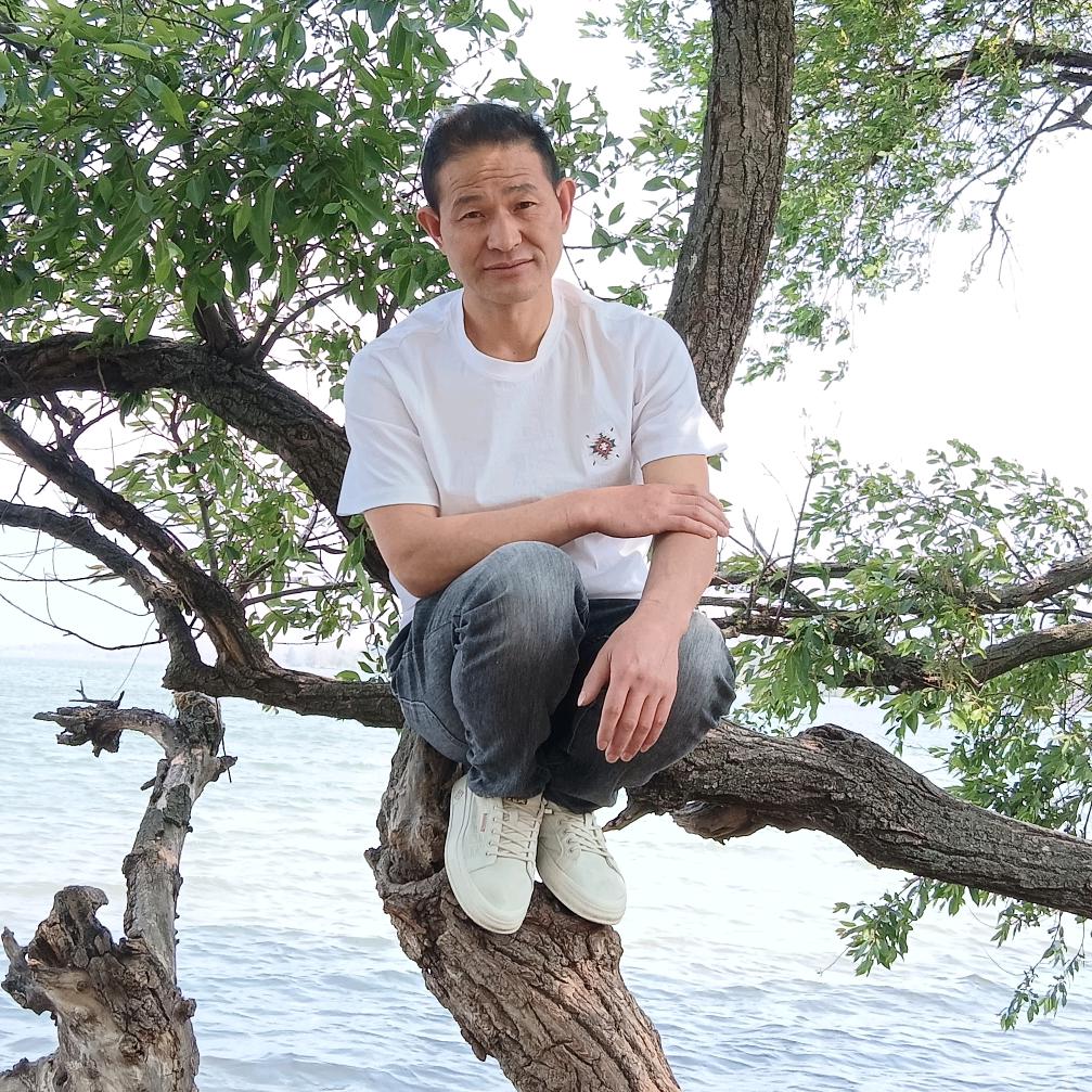 随意。