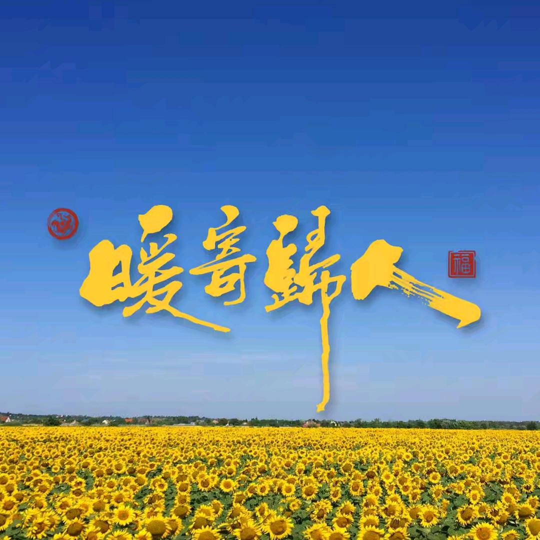 暖寄归人