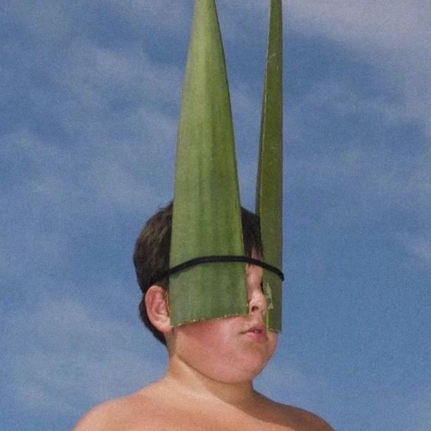 鼠鼠大王haha