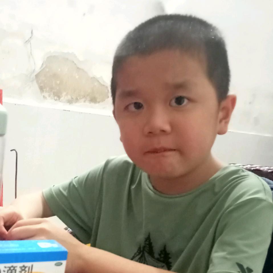 果果(DMD)