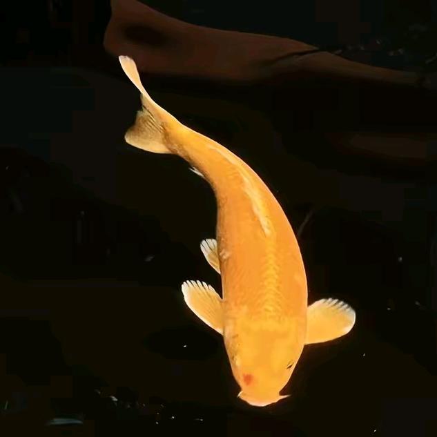 吃饭不洗碗🤗🤗