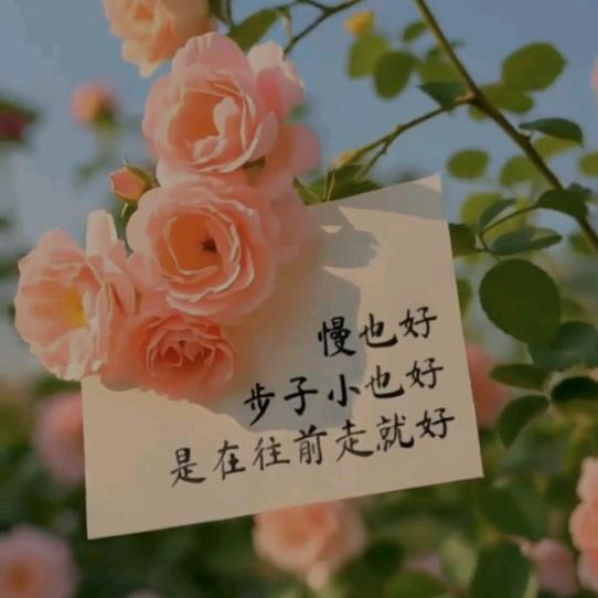 贾三妹