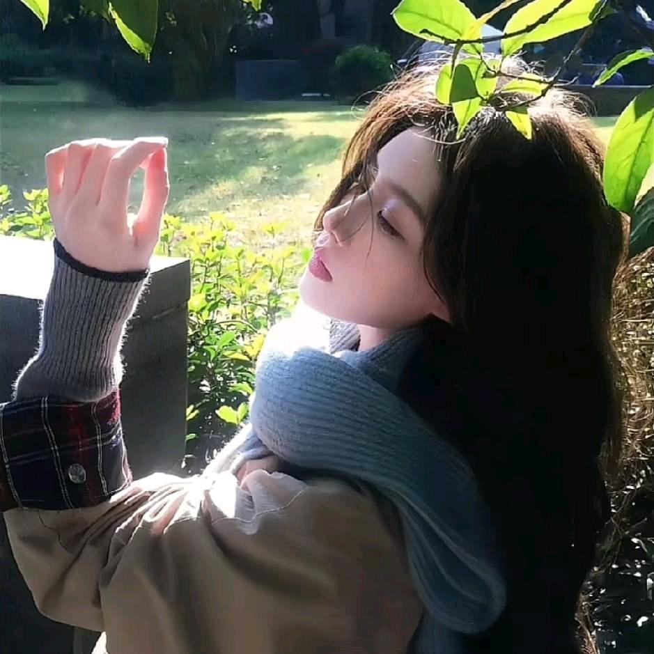 橘子里的苹果