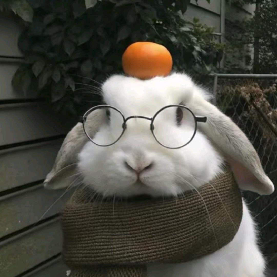 海绵绵📷（小海绵工作室）