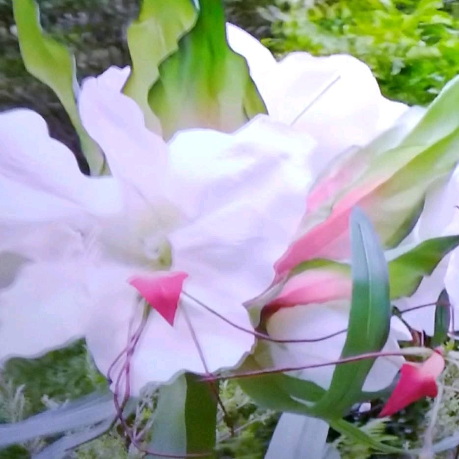 尤锦芳