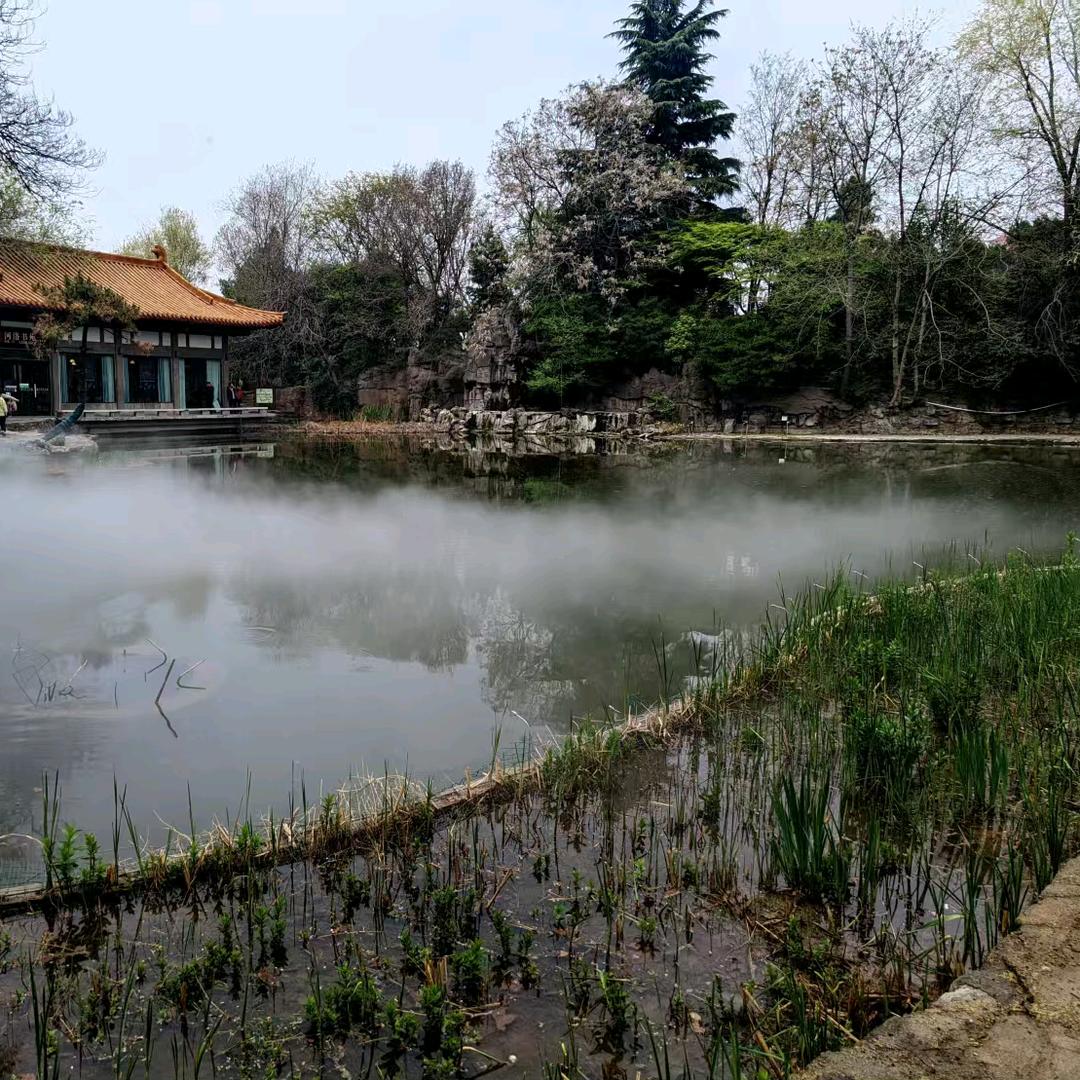 展翅飞翔