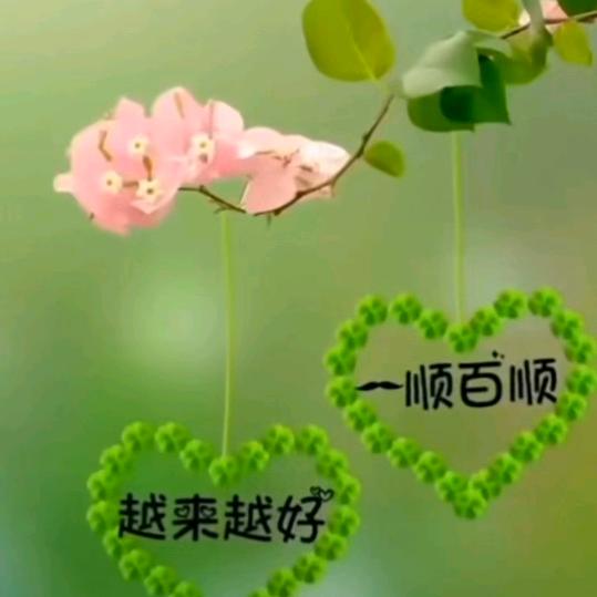 素锦