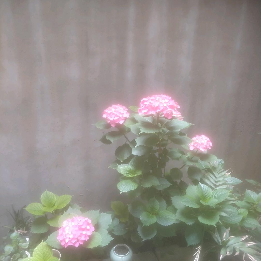 诚信天下