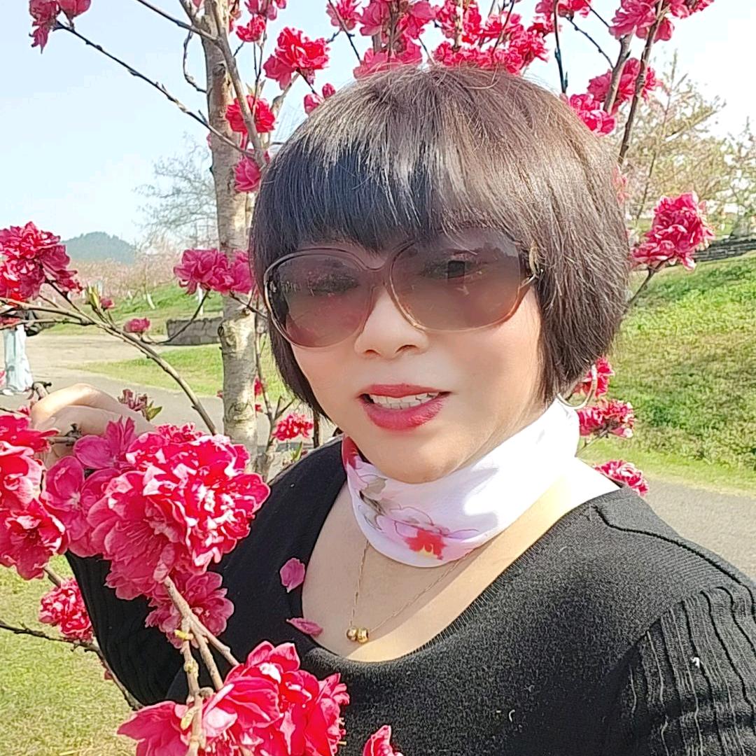 南充木棉心语(牵线搭桥群)