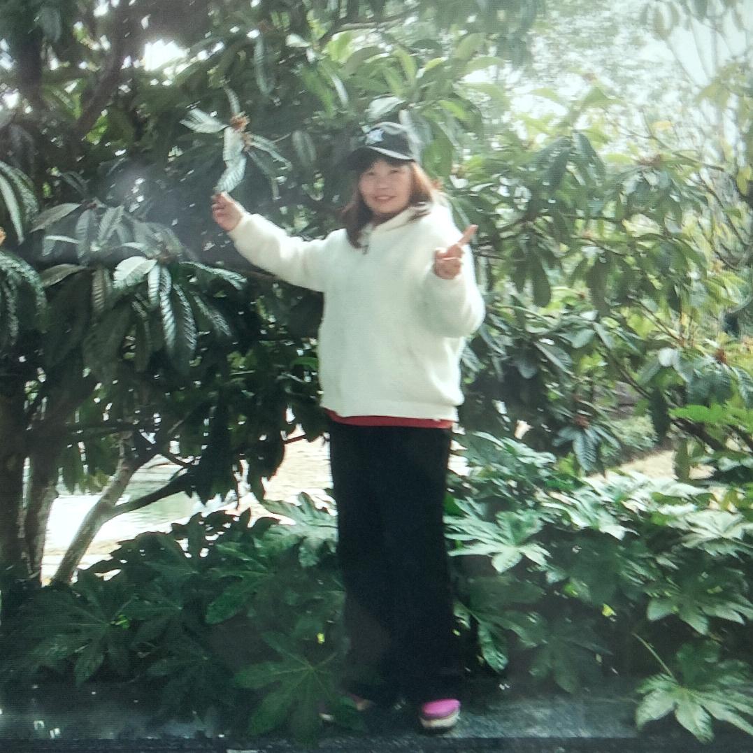 陈美丽