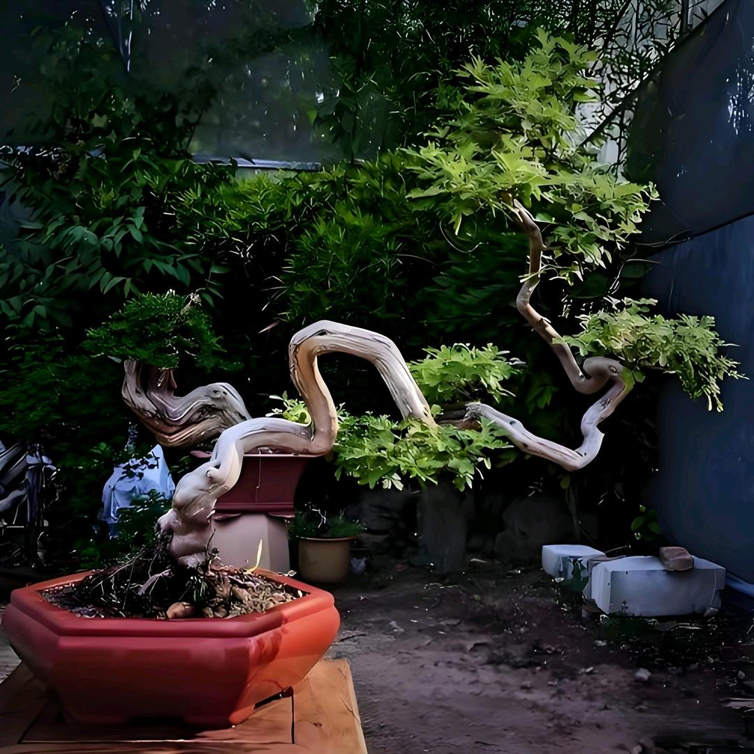 淘花园