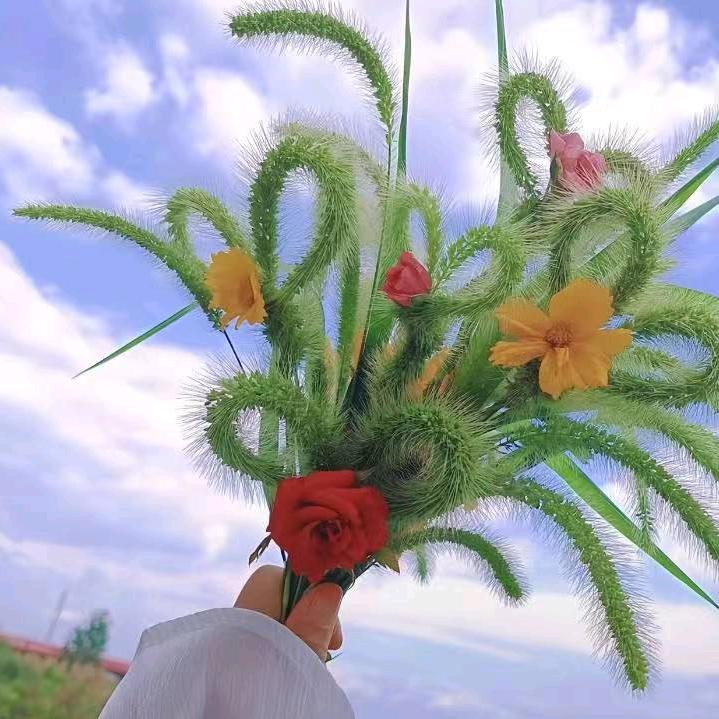 雨巷