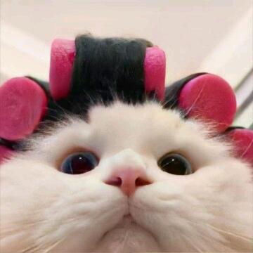 凪