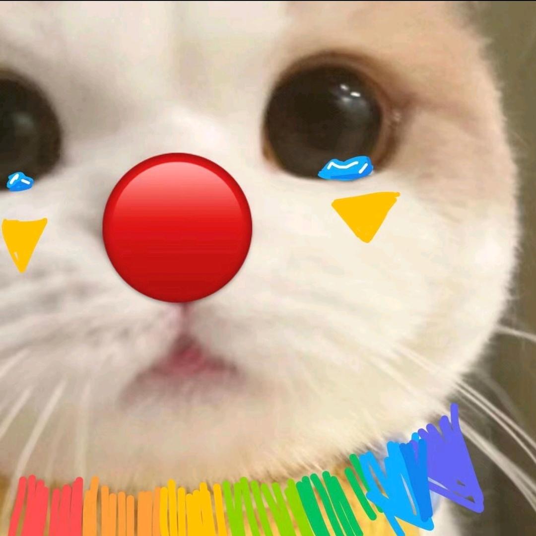 枝哦头像
